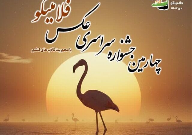فلامینگوها در قاب هنر/ پوستر جشنواره‌ای برای حفاظت از میانکاله رونمایی شد