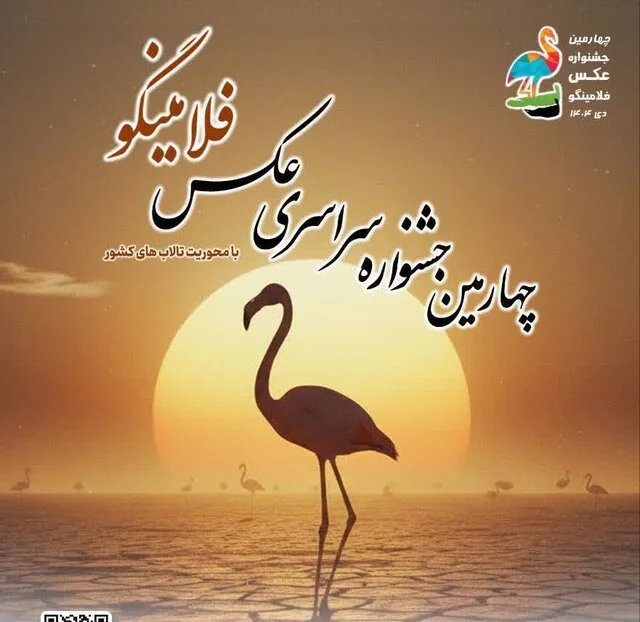 فلامینگوها در قاب هنر/ پوستر جشنواره‌ای برای حفاظت از میانکاله رونمایی شد