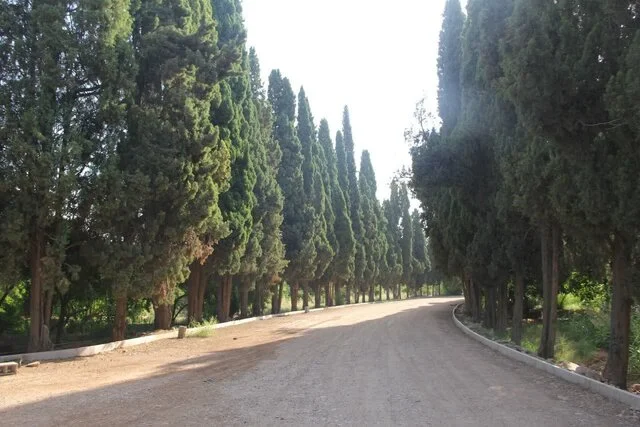 باغ سه‌گوش‌ نماد تازه زیست فرهنگی و سبز شیراز می‌شود