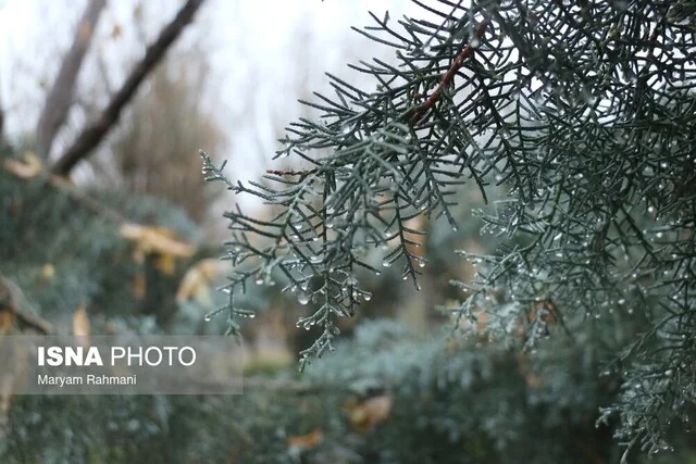 بارش‌های سنگین اخیر؛ آیا کم‌آبی کشور را نجات می‌دهد؟ هشدارهای سیل در چند استان مهم!