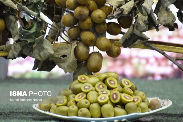 راز خواب آرام با مصرف روزانه کیوی؛ این میوه شگفت‌انگیز را از دست ندهید!