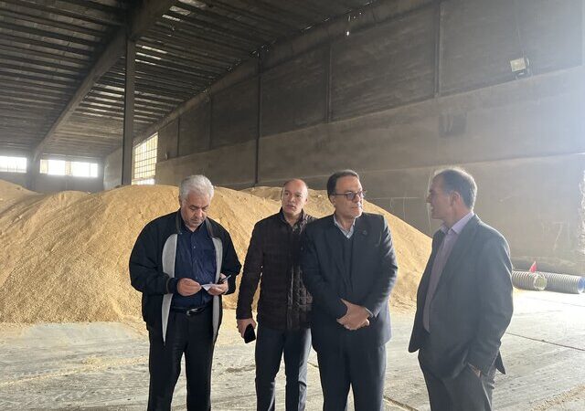 گشایش ارزی ۱.۷ میلیون دلاری که تحولی بزرگ در تأمین نهاده‌های دامی استان مرکزی ایجاد کرد!