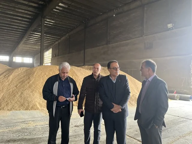 گشایش ارزی ۱.۷ میلیون دلاری که تحولی بزرگ در تأمین نهاده‌های دامی استان مرکزی ایجاد کرد!