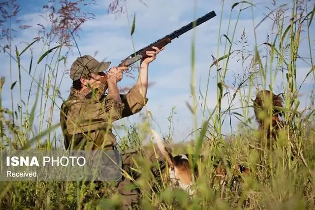 بازداشت ۶ شکارچی حرفه‌ای در دامغان و کشف لاشه‌های نادر حیات‌وحش