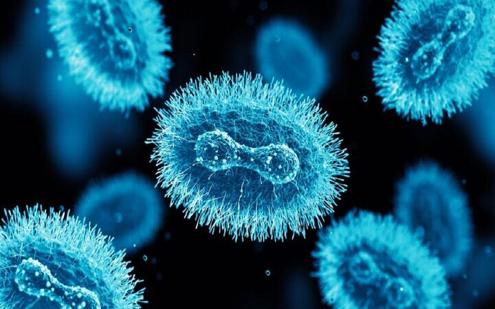 هوش مصنوعی نقطه ضعف خطرناک آبله میمونی را فاش کرد؛ امیدی تازه برای درمان