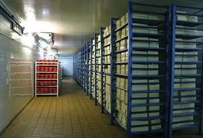 البرز با ظرفیت ۲.۷ میلیون تنی، انقلابی در جذب و نگهداری محصولات کشاورزی ایجاد کرد!