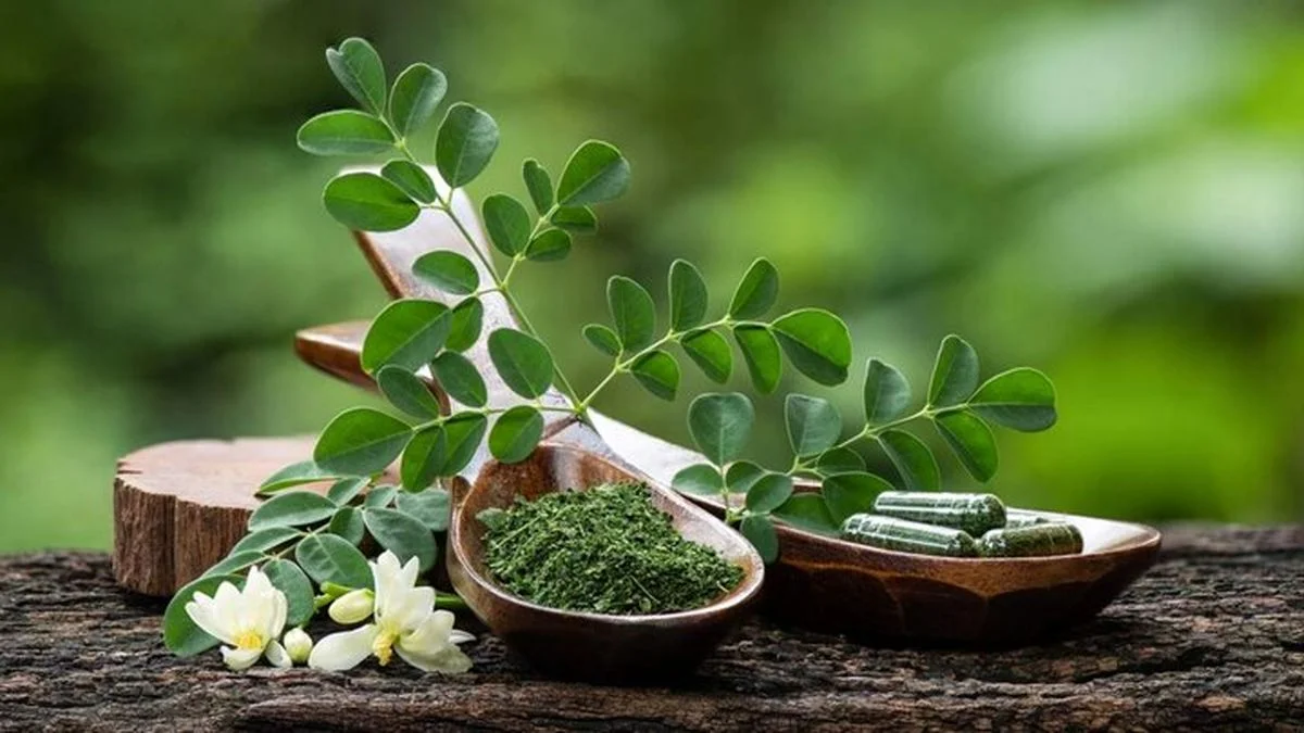 آب مورینگا؛ نوشیدنی شگفت‌انگیزی که قند خون و کلسترول را مهار می‌کند!