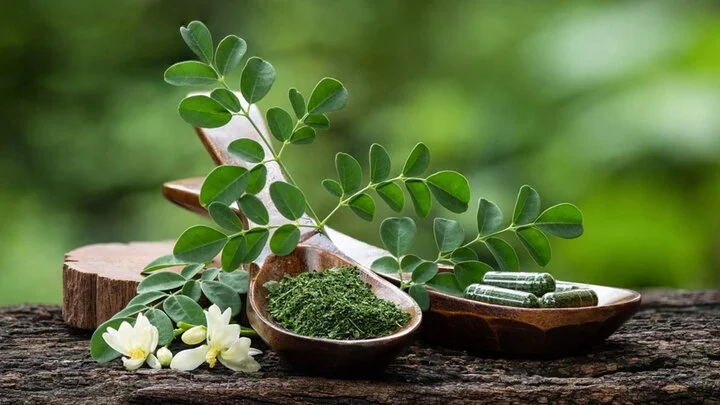 معجزه صبحگاهی مورینگا؛ نوشیدنی شگفت‌انگیزی که قند و کلسترول را کاهش می‌دهد!