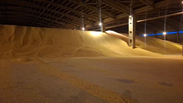 موانع ترخیص نهاده‌های دامی بندر امام خمینی بالاخره شکسته شد!