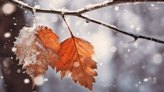 آغاز بارش برف در همدان از سه‌شنبه شب؛ هشدار برای نیمه شرقی و جنوبی استان