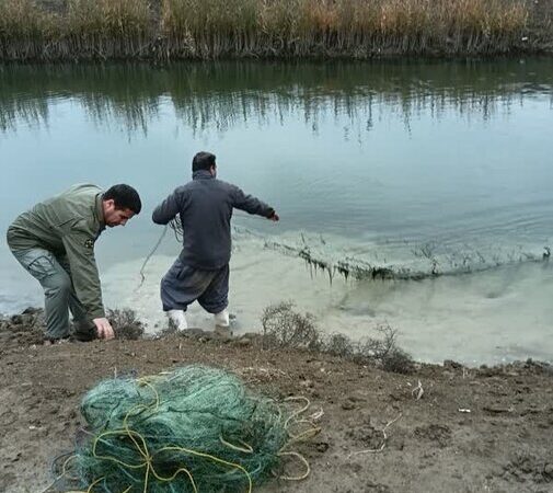 شکارچیان غیرمجاز در اردبیل چگونه دستگیر شدند؟ گزارش ویژه از عملیات نفس‌گیر محیط‌بانان