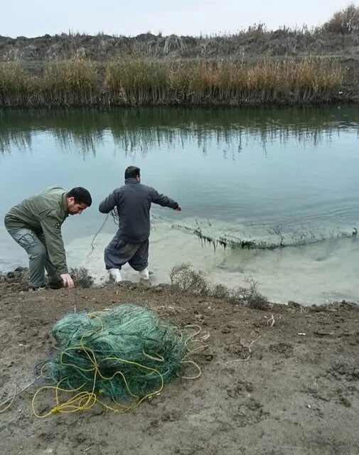 شکارچیان غیرمجاز در اردبیل چگونه دستگیر شدند؟ گزارش ویژه از عملیات نفس‌گیر محیط‌بانان
