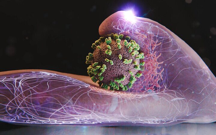 این گروه‌های حساس هر سال قربانی پیک آنفلوآنزا می‌شوند؛ شما چطور؟