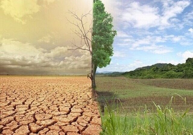 گام‌های جدی ایران برای مهار بیابان‌زایی و نجات زمین‌های خشک در ۱۴۰۳