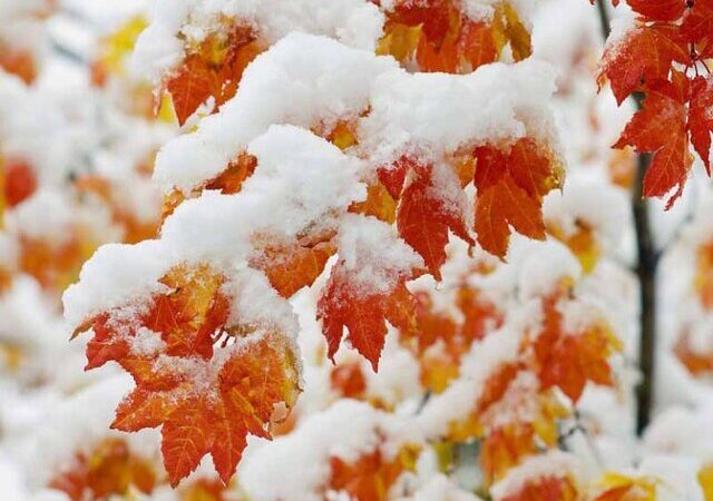 سامانه بارشی جدید از فردا در همدان فعال می‌شود؛ برف ملایم در راه است!