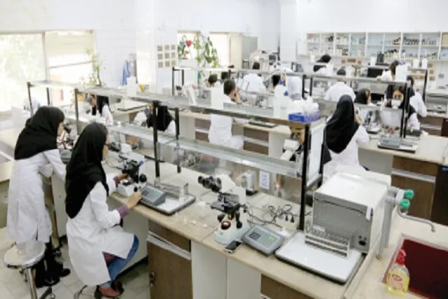 چرا ناآشنایی با ابزارهای پژوهش، سد راه دانشجویان می‌شود؟