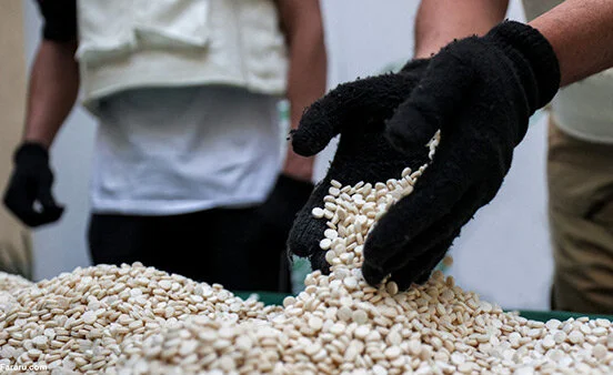 افزایش نگران‌کننده مصرف قرص‌های روان‌گردان رنگی در بوشهر؛ هشدار جدی پلیس!