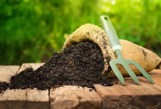 ۶۰۰ تن کود فسفاته به یزد رسید؛ نجات کشاورزان از بحران کمبود مواد غذایی مزارع!