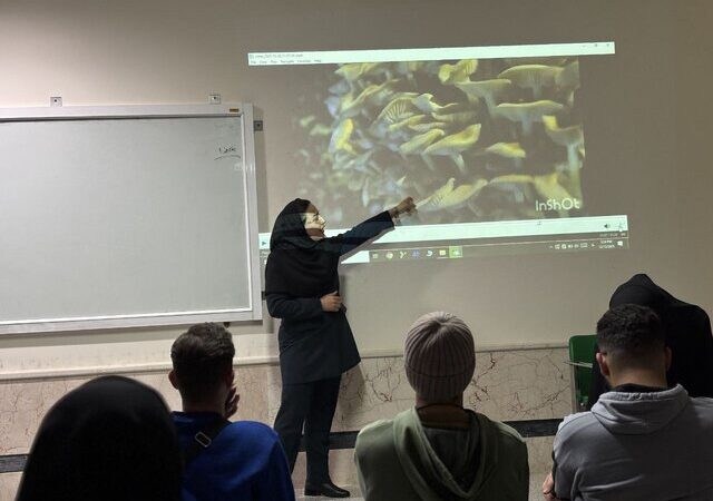 رازهای استفاده قارچ‌های توهم‌زا در مراسم مذهبی و علمی که نمی‌دانستید!