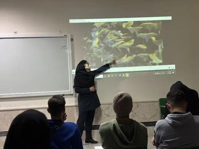 رازهای استفاده قارچ‌های توهم‌زا در مراسم مذهبی و علمی که نمی‌دانستید!