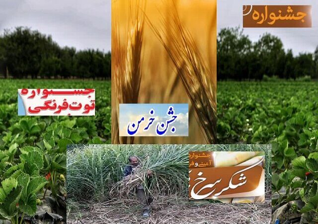 چرا جشنواره‌ها به بازارچه‌های بی‌هویت تبدیل شدند؟ نکته‌ای که همه باید بدانند!