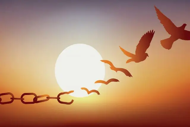 نذر بانوی تبریزی در فرانسه که به آزادی چند زندانی مالی انجامید!