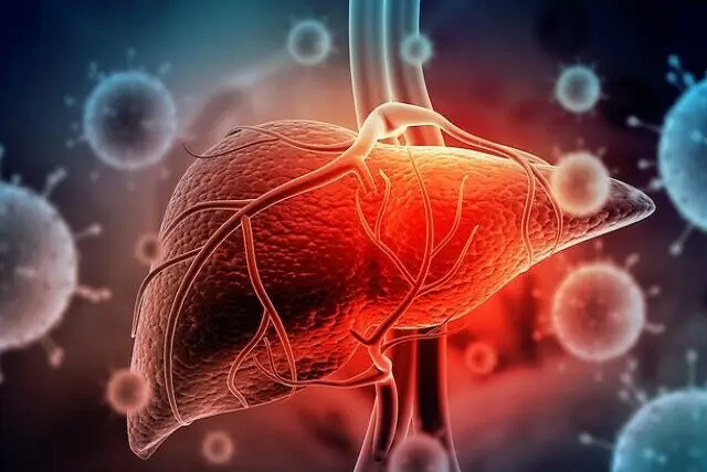 انقلابی در درمان کبد: سلول‌های بنیادی چگونه زندگی بیماران را تغییر می‌دهند؟