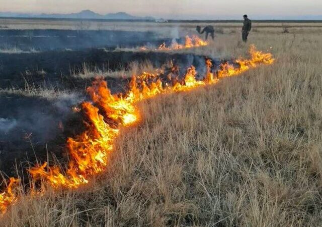 آتش‌سوزی مهیب در سواحل دریاچه ارومیه؛ واکنش سریع یگان محیط‌زیست جان پارک ملی را نجات داد