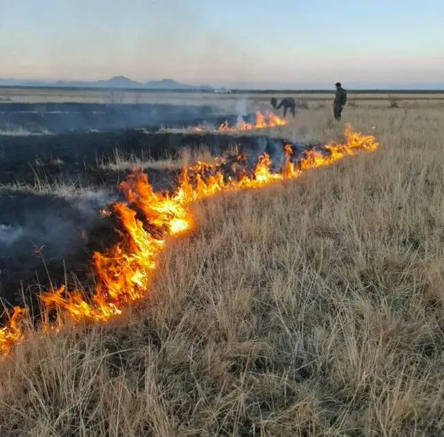 آتش‌سوزی مهیب در سواحل دریاچه ارومیه؛ واکنش سریع یگان محیط‌زیست جان پارک ملی را نجات داد - وب‌گردی