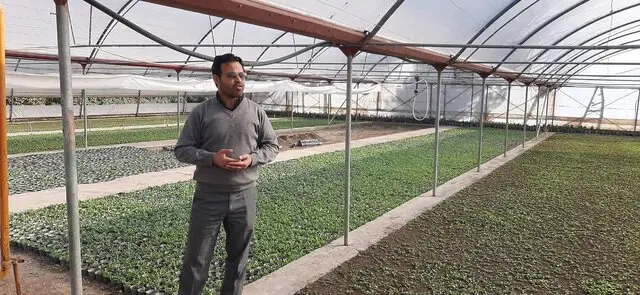 شهرداری اردبیل سالانه ۳ میلیون گل و ۱۰۰ هزار درختچه تولید می‌کند؛ فرصتی طلایی برای اشتغال و صرفه‌جویی میلیاردی!