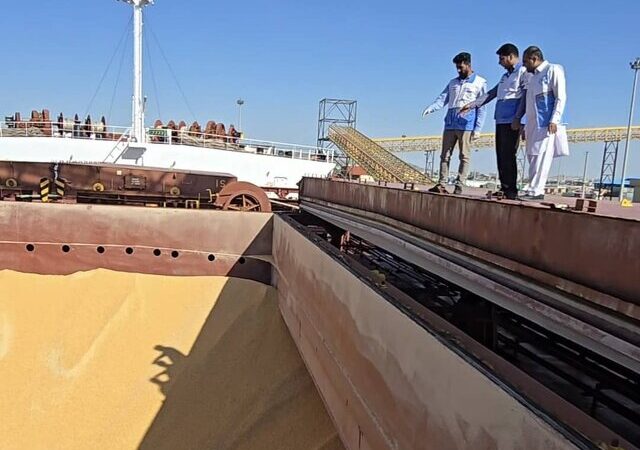 چرا نظارت بر نهاده‌های دامی، کلید سلامت جامعه و امنیت غذایی است؟