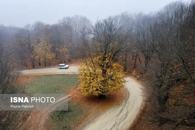 پایداری هوای گیلان تا سه‌شنبه؛ وزش باد جنوبی و مه‌آلودگی ادامه دارد