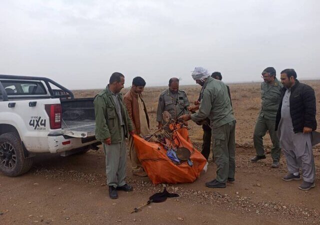 کشف بیش از ۷۰ تله زنده‌گیری پرندگان در خاش و تفتان؛ آیا پرندگان مهاجر در خطرند؟