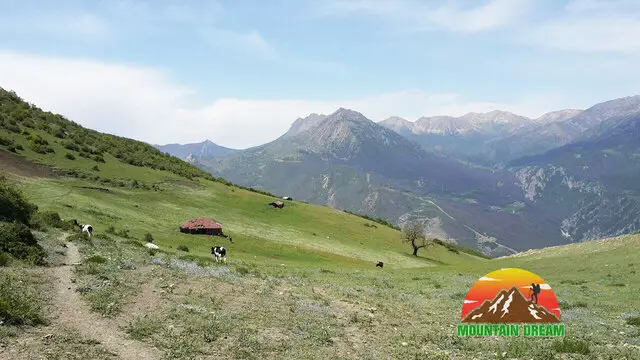 اقدام قاطع منابع طبیعی سوادکوه علیه تصرف اراضی ملی در مرتع اونسیه