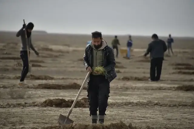 کاشت ۵۸۰ هزار نهال و احیای ۷۰۰ هکتار از مراتع گلستان؛ پروژه‌ای بزرگ برای نجات طبیعت