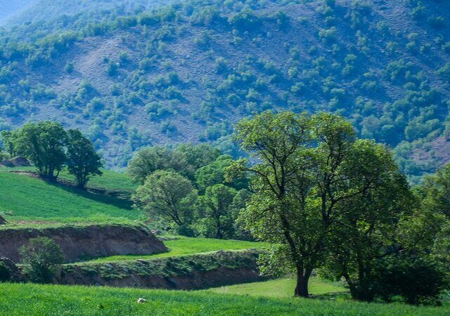 سپیدان؛ نگین سبز فارس در آستانه جهش بزرگ اقتصادی و گردشگری!