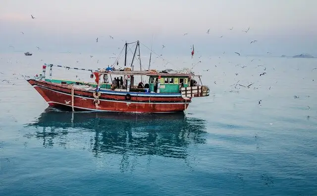 هشدار جدی درباره تلاطم دریایی در هرمزگان؛ ترددها در خطر توقف!