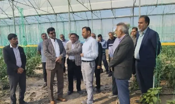 فرماندار رودان دستور عاجل برای نجات باغات از تهدید جدی رودخانه آب‌نما صادر کرد