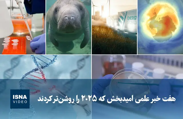 ۷ خبر علمی شگفت‌انگیز که روشنایی ۲۰۲۵ را نوید می‌دهند!