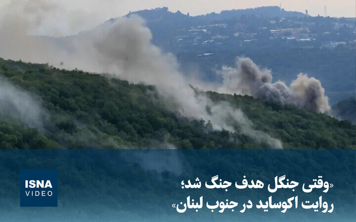 وقتی جنگل‌های جنوب لبنان در چنگال جنگ گرفتار شدند؛ داستان تلخ اکوساید