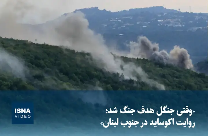 وقتی جنگل‌های جنوب لبنان در چنگال جنگ گرفتار شدند؛ داستان تلخ اکوساید