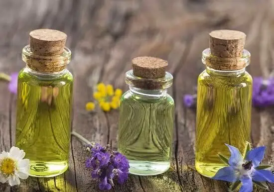 رشد چشمگیر کشت گیاهان دارویی در هرمزگان؛ ۸۰۰ هکتار در چشم‌انداز پنج ساله