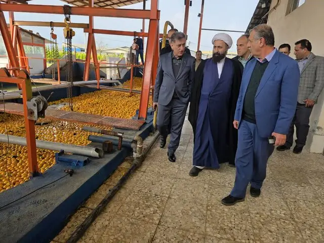 فرماندار رودسر: کنسانتره پرتقال؛ طلای نارنجی که ارزآوری می‌کند!