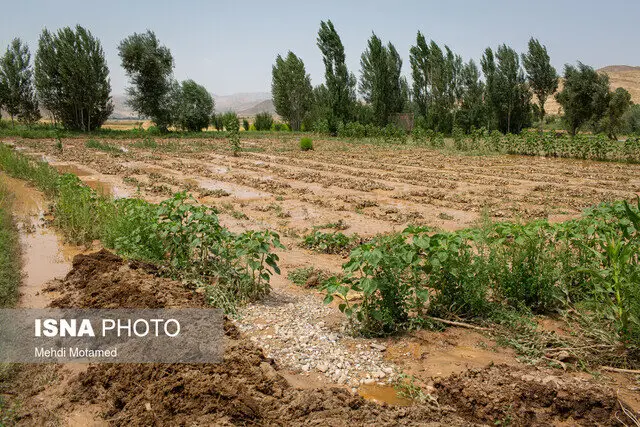خسارت نجومی ۴۷۵۰ میلیارد تومانی سیل به کشاورزی سیستان و بلوچستان؛ چالش بزرگ پیش روی کشاورزان