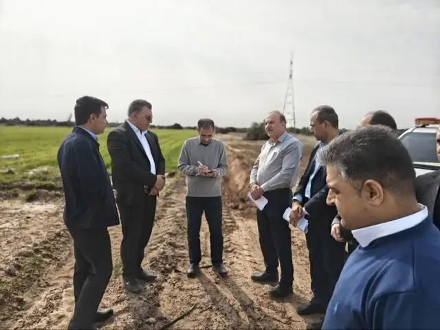 کشاورزان دهلرانی با طرح‌های نوآورانه در فهرست کشاورز نمونه کشوری درخشیدند!