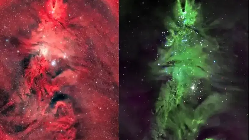 راز درخشان درخت کریسمس کیهانی در دل کهکشان راه شیری فاش شد!