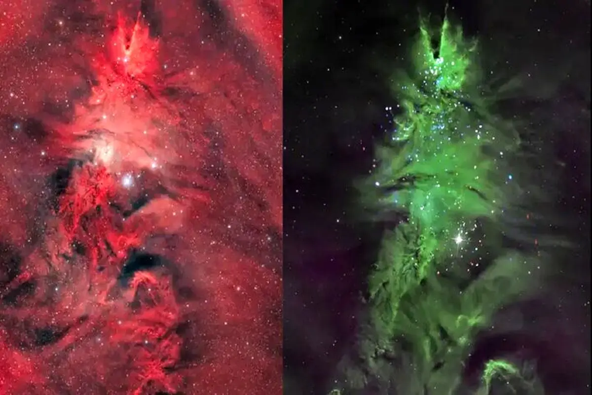 راز درخشان درخت کریسمس کیهانی در دل کهکشان راه شیری فاش شد!