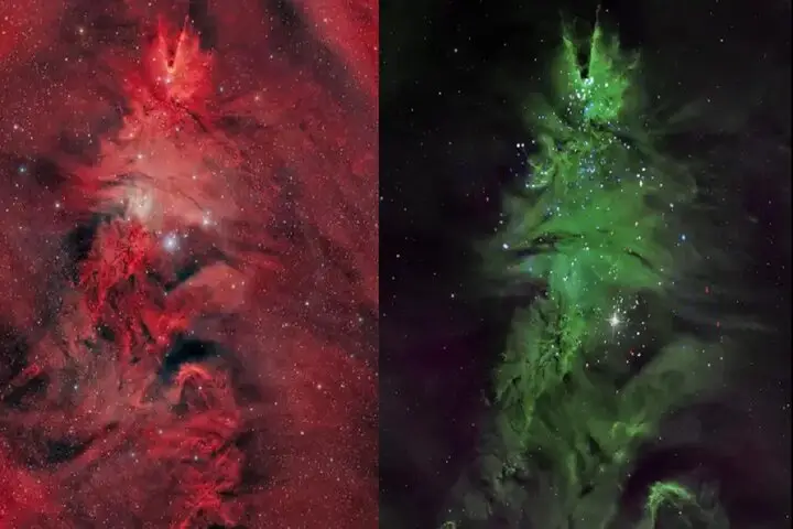 درخت کریسمس کیهانی در دل کهکشان راه شیری به شکلی حیرت‌انگیز می‌درخشد!