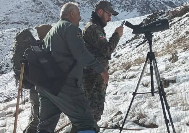 ورود سرشماری حیات‌وحش مازندران به فاز علمی با مسیرهای ثابت و دقیق!