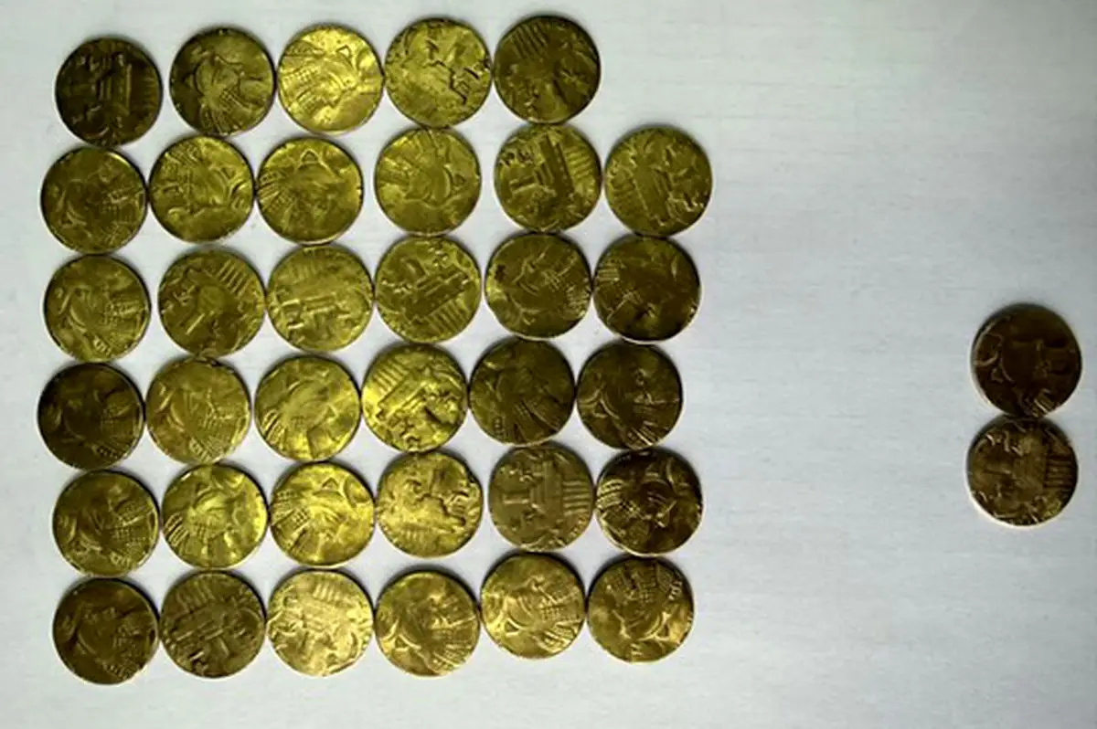 کشف ۳۷ سکه درخشان ساسانی در اسدآباد، پلیس و میراث‌فرهنگی در تعقیب گنج تاریخی!